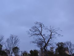 -萧山体育中心