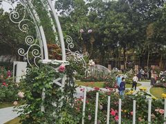 -人民公园(罗湖区)