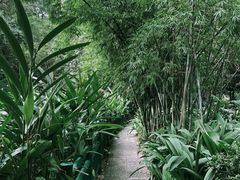 -广州兰圃