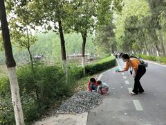 -合肥滨湖国家森林公园