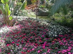 -北京植物园-展览温室