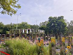 -海心沙亚运公园