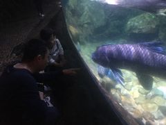 -左海海底世界