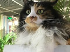 -小时光咖啡馆(开森度假森林店)