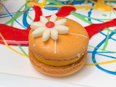 -马哥孛罗咖啡厅·Cafe Marco (厦门马哥孛罗东方大酒店)