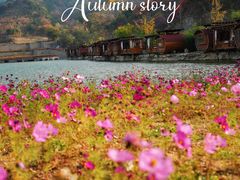 -九如山休闲旅游度假区