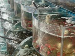 -仙螺岛海鲜自助餐厅(总店)
