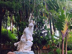 -瑞丽独树成林风景区