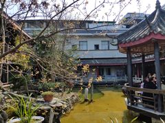 景观位-代木儿回锅肉