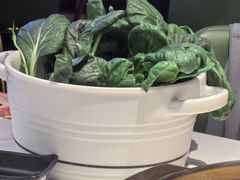 -烹然四季椰子鸡火锅(姚家园万象汇店)