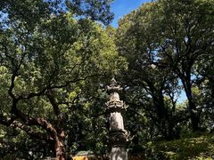 -普陀山风景名胜区-法雨禅寺