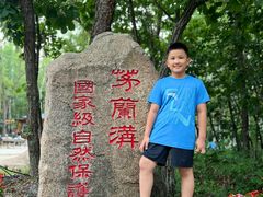 -茅兰沟国家森林公园