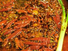 -黄潇洒老火锅(九眼桥宏济巷店)