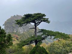 -圣莲山风景区