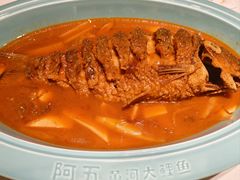 红烧黄河鲤鱼-阿五黄河大鲤鱼(纬三路店)