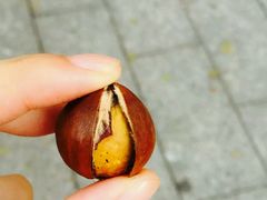 -阿男野栗王(金门路店)