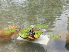 -荔湾湖公园
