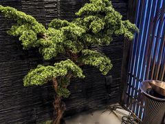-上足·影院足道·SPA(红岭店)