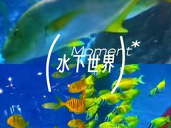 -大连圣亚海洋世界