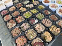 -瑞虹新天地月亮湾