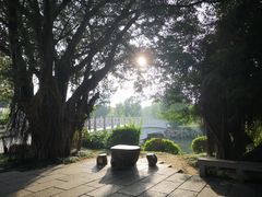 -光明港公园