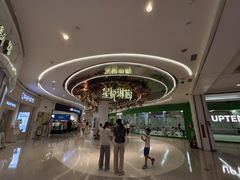 -深圳龙华星河COCO City(民治店)