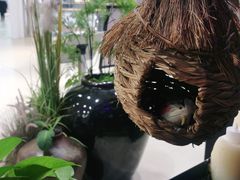 -九鼎轩火锅大排挡