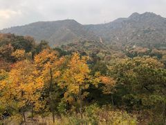 -北京鹫峰国家森林公园