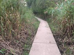 -大兴滨河森林公园