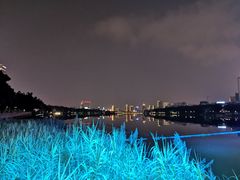 景点-南宁南湖公园