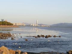 -深圳湾公园(南山区)