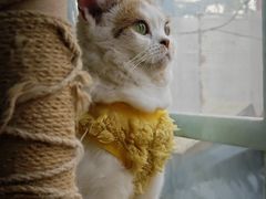 -小时光咖啡馆(北锣鼓巷店)