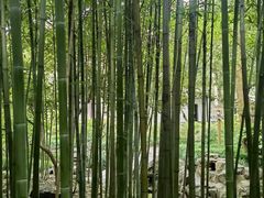 -秋霞圃