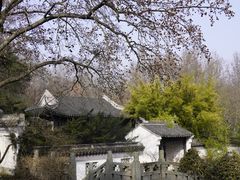 -宜兴龙背山森林公园