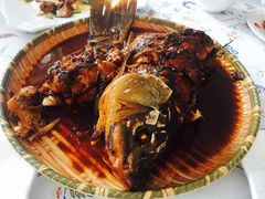 -水库活鱼馆(于桥水库店)