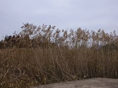 -贵阳市花溪国家城市湿地公园