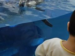 -太平洋海底世界