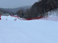 -亚布力新体委滑雪场