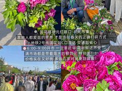 -洛阳国际大酒店