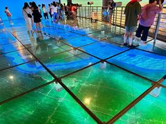 -上海长江河口科技馆