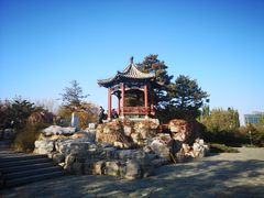 -大兴滨河森林公园