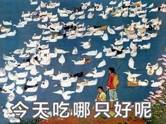 -蜜雪冰城(浙江大学店)