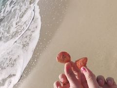 -海云台海滩