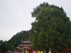 -照金香山旅游景区
