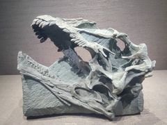 -自贡恐龙博物馆