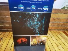 -怀托摩萤火虫洞