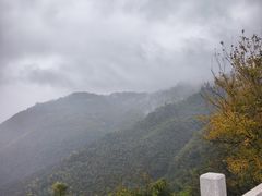 -莫干山风景区