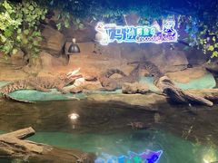 -重庆欢乐海底世界