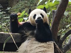 -广交会威斯汀酒店