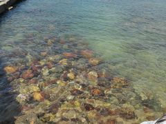 -西涌国际滨海旅游区